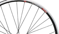 DT Swiss 535 + Shimano T3000 / DH-C3000 26" Laufradsatz -Stilvoller Laden Für Fahrradausrüstung 316997