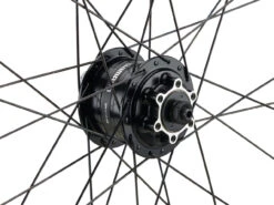 Mountain Alivio Disc 6-Loch DT Swiss 466d 29" Laufradsatz -Stilvoller Laden Für Fahrradausrüstung 399626