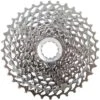 SRAM PG-1070 10-fach Kassette Für Force / Rival / X9 -Stilvoller Laden Für Fahrradausrüstung 88359